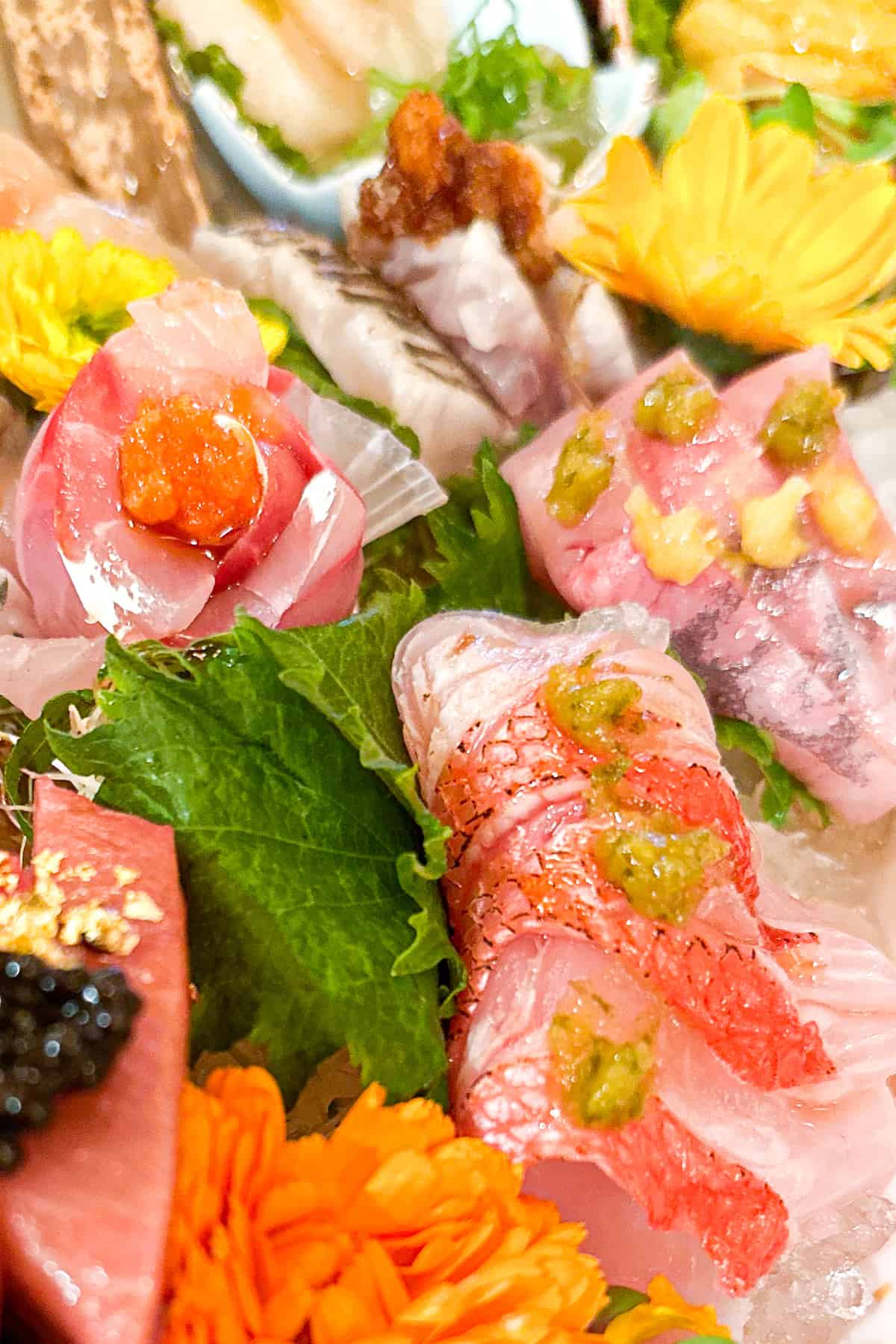 Close up of an assortment of sashimi.