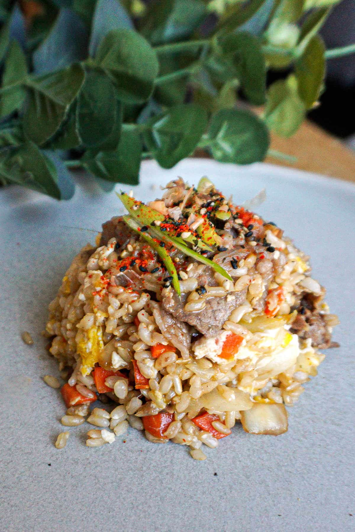 A serving of sukiyaki fried rice topped with scallions.
